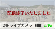 砂の祭典２４Hライブカメラ