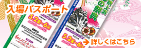 砂の祭典入場パスポート