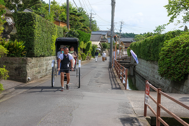 加世田麓（ふもと）