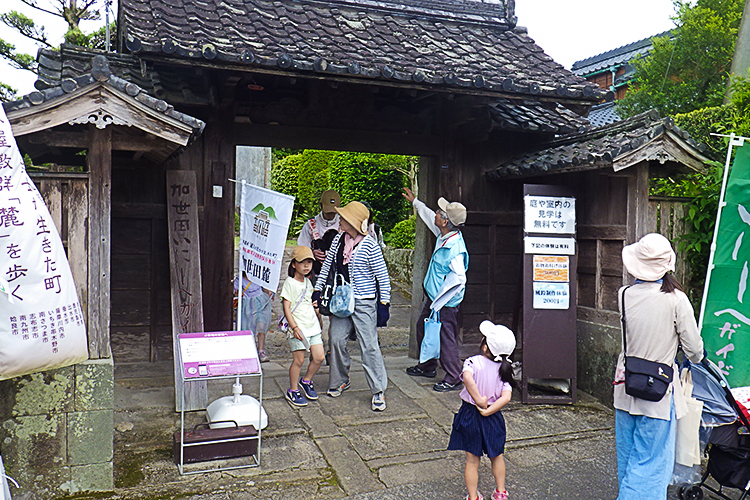 加世田麓（麓エリア）