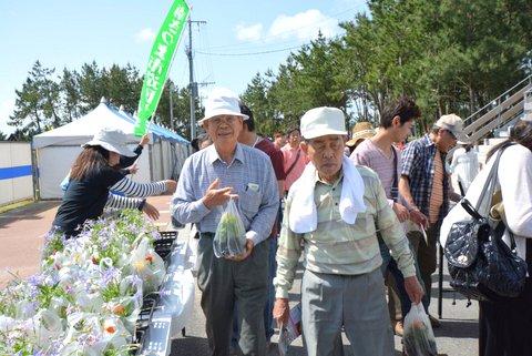 花の苗プレゼント