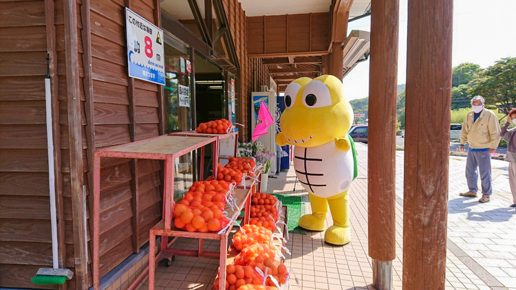 ふるさとくじら館1