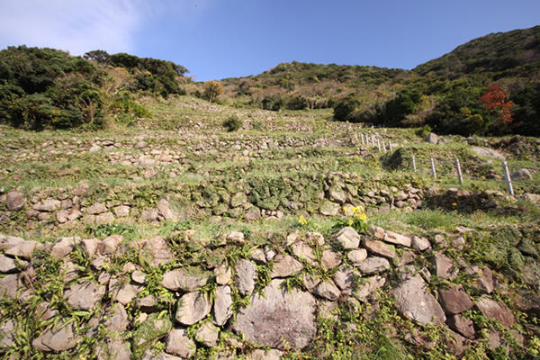 出典：谷山展望所から見る段々畑－南さつま海道八景－ | いろは南さつま